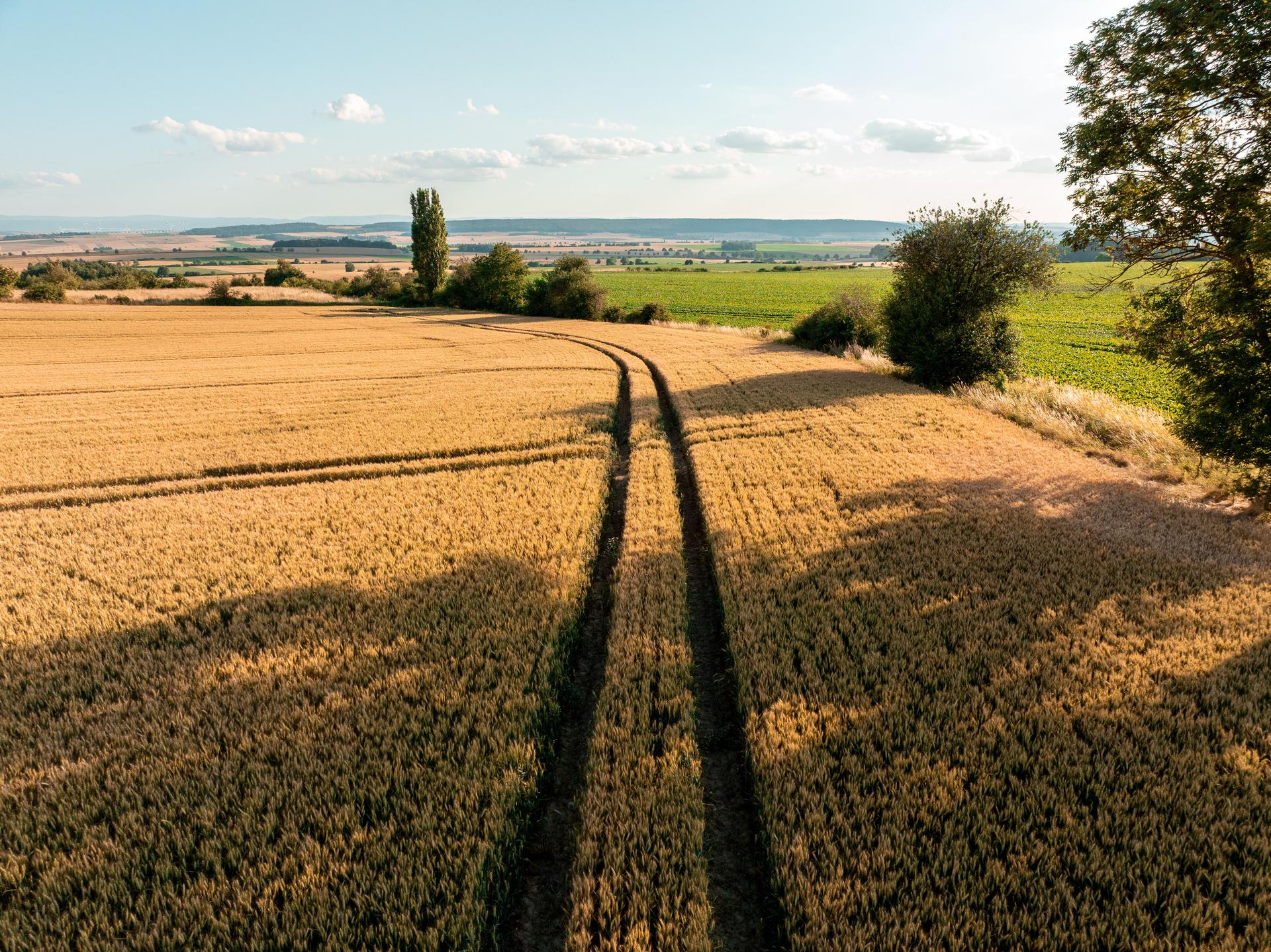 Landwirtschaft